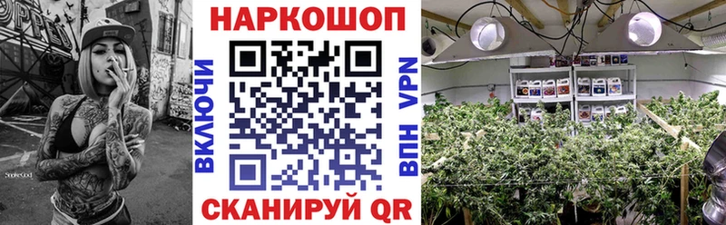 Цена Камышин АМФЕТАМИН  Псилоцибиновые грибы  Гашиш  COCAIN  Меф мяу мяу 