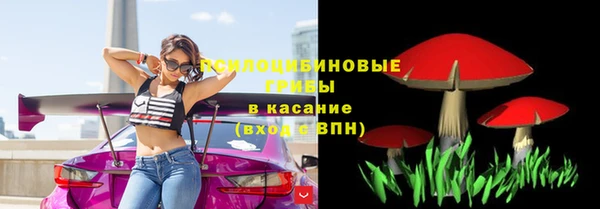 трава Алексин